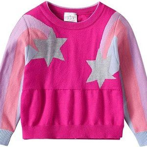 Toddler Girls Pullover Sweater Comfy Long Sleeve Crewneck Cute Daily Wear